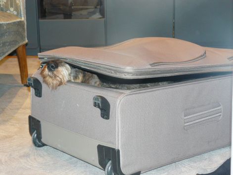 mukker-in-da-box.jpg